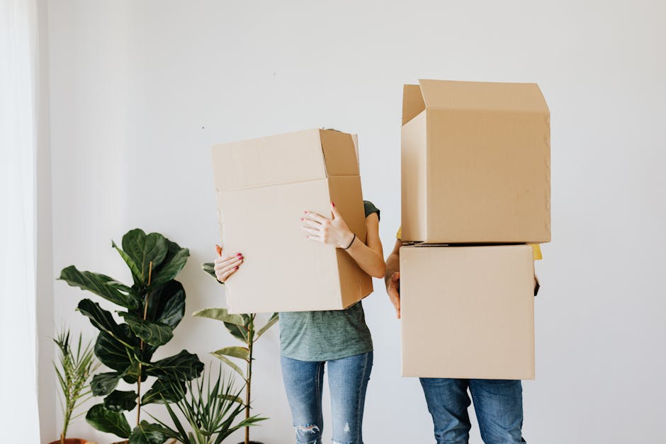 Two people with cardboard boxes on their heads standing indoors.